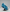Cape Camo Bleu