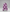 Cape Camo Violet